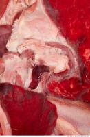 RAW meat pork viscera 0021
